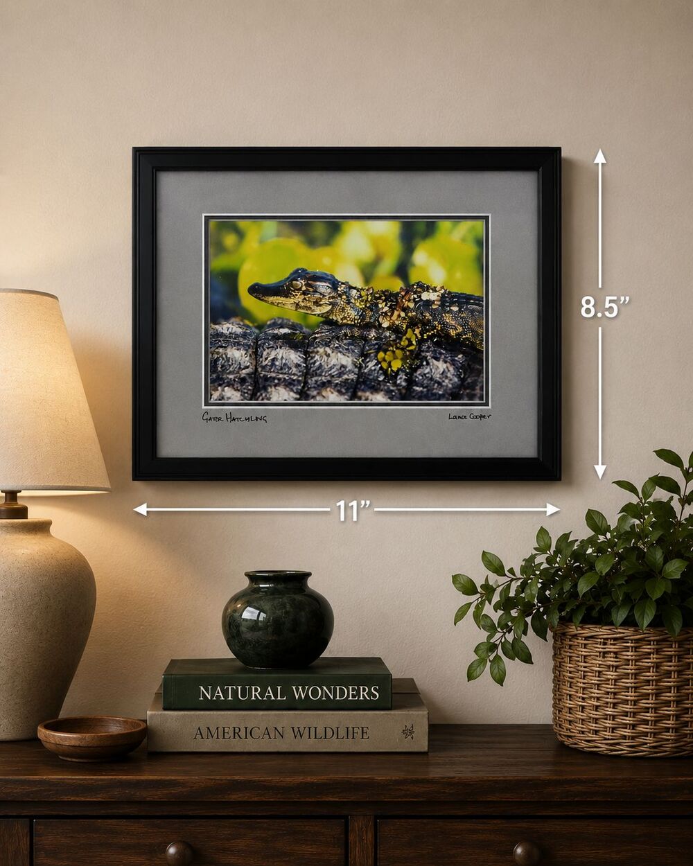 Lance Cooper "Gator Hatchling" Framed Wildlife Photo Print Signed 11" x 8.5"
